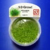 1-2-GROW! Kleiner Fleischfressender Wasserschlauch / Utricularia Graminifolia Von TROPICA