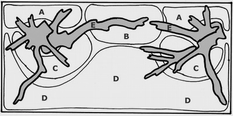 Unterwasser-Landschaft Moosbrücke Für 300 Liter Aquarium – Bild 2
