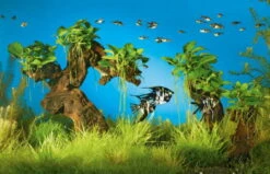 Mbuna-Wäldchen - Pflanzenlandschaft Für Ein 160-200 Liter Aquarium